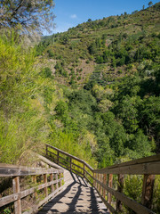 Fototapeta na wymiar Wooden walkway on the River Mao Canyon hiking trail, Ourense, Galicia, Spain