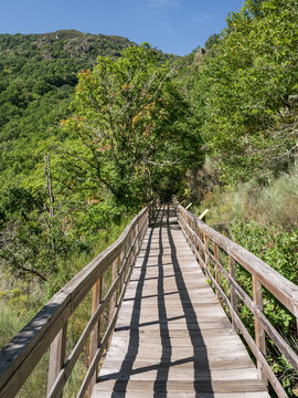 Wooden Walkway On The River Mao Canyon Hiking Trail, Ourense, Galicia, Spain