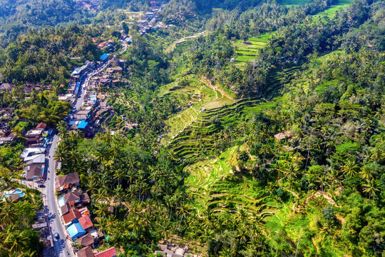 Aerial View of Tegallalang village and Rice Field Terrace, Bandung, West Java Indonesia, Asia. Royalty high quality free stock image of Bali. 