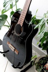 Black Elecrtic Acousting - Fender