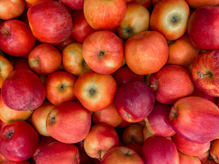 Red ripe apple background freshly picked from tree