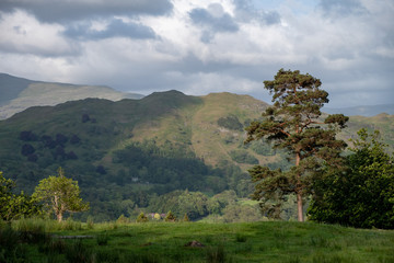 Obraz premium Langdale Valley, Cumbia in the English Lake District on a summer day.