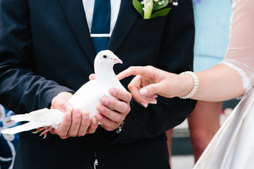 bride and groom hold a dove