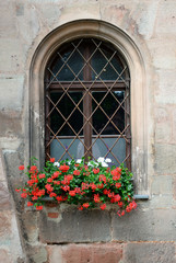 Fototapeta na wymiar gotisches Fenster mit Blumenkasten