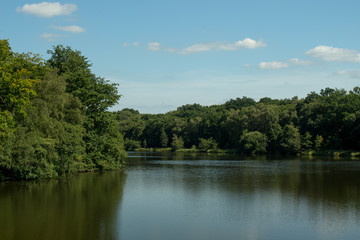 Fototapeta na wymiar Scenic View Of Lake In Forest Against Sky