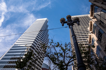 Skyscrapers in San Francisco in summer. Modern Office Buildings, California. - 337645330