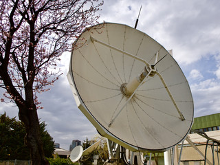 Great satellite dish. TV and radio broadcast antenna.