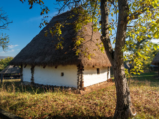 Naklejka premium Wooden house with roof of straws. Old house architecture countryside Transylvania.