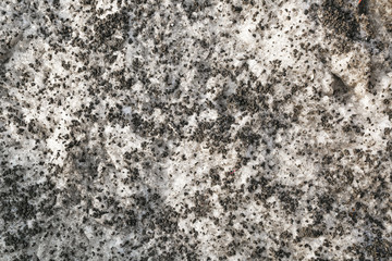 dirty snow in the city