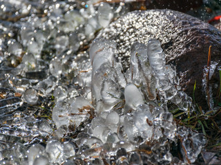 abstract picture with ice cubes embracing grass and tree roots