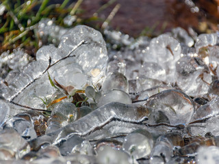 abstract picture with ice cubes embracing grass and tree roots