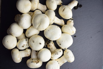Group of mushrooms on slate and small basket	
