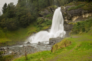 Fototapeta premium waterfall in the forest