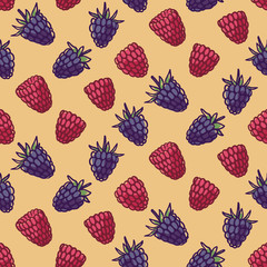 Seamless pattern with berries. Hand-drawn raspberries and blackberries.