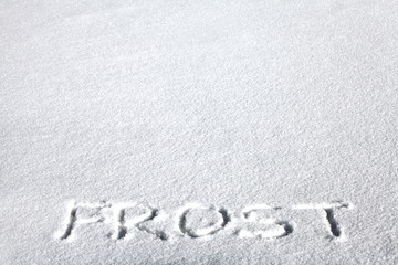 Inscription on the Snow