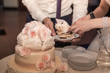 The bride and groom are cutting a wedding cake
