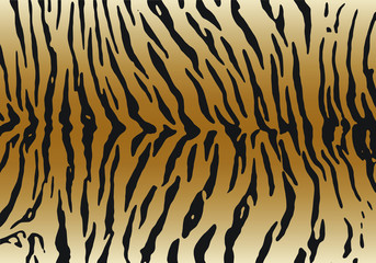 Vector illustration set of animal seamless prints.Tiger texture background