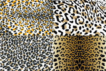 Vector illustration set of animal seamless prints. Tiger and leopard patterns collection.