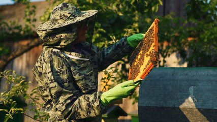 Fototapeta premium Beekeeper checking beehive in protective suit. Medium shot
