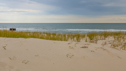 Island Beach State Park is located at in southern New Jersey at the popular Jersey shore and specifically Point Pleasant. The beach is clean  the surf delightful, the dunes are healthy. Can camp