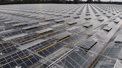 Greenhouse glass agricultural production facility in Poland aerial shot