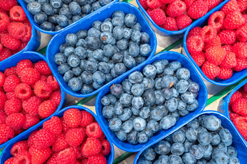 Blueberries and raspberries in blue boxes on food farmers market.