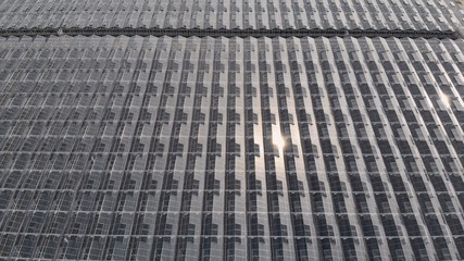 Environmental infrastructure, polish green glasshouse structure, drone shot