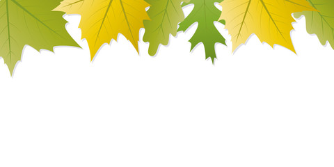 green and yellow autumn leaves white background with copy space vector illustration EPS10