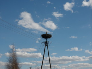 KODAK Digital Still Camera © Dawid