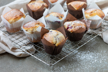 Blueberry and raspberry homemade muffins on a wire baking tray with shallow depth of field.