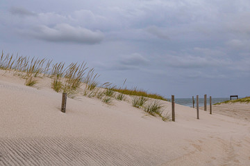 Island Beach State Park is located at in southern New Jersey at the popular Jersey shore and specifically Point Pleasant. The beach is clean  the surf delightful, the dunes are healthy. Can camp