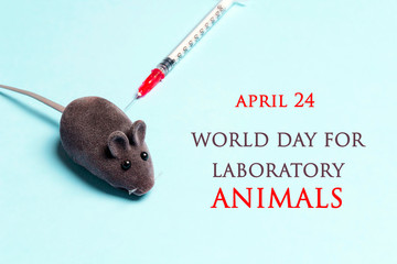 World Day for Laboratory Animals, 24 april. Laboratory mouse and syringe on a blue background.
