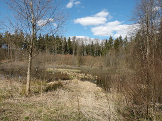 KODAK Digital Still Camera © Dawid