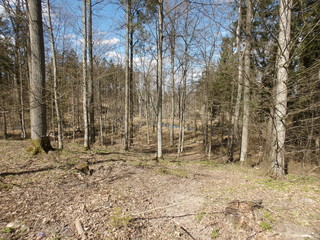 KODAK Digital Still Camera © Dawid