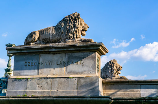 Lions detail of Chain Bridge Budapest-Hungary