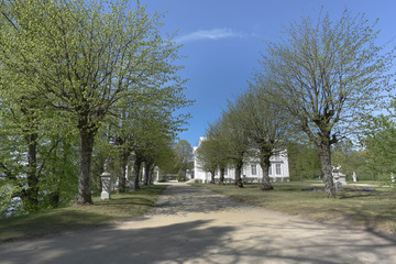 Aleja drzew prowadząca do Pałacu Tyszkiewiczów w Zatroczu - dzielnicy Troków na Litwie