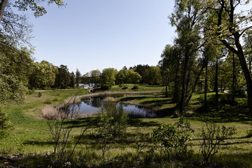 Letni, sielankowy widok na jezioro i ogród Pałacu Tyszkiewiczów w Zatroczu - dzielnicy Troków na Litwie