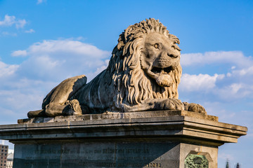 Lion detail of Chain Bridge Budapest-Hungary