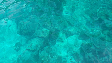 underwater footage on phi phi islands