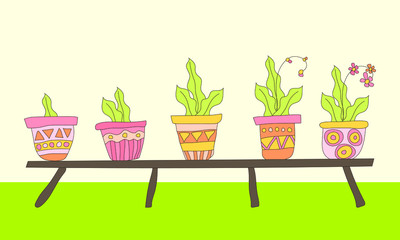 A set of colorful flower pots with plants stands on a low shelf in the room. The collection of house plants is drawn in the Doodle style