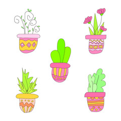 A set of colorful flower pots with plants isolated on a white background. The collection of house plants is drawn in the Doodle style