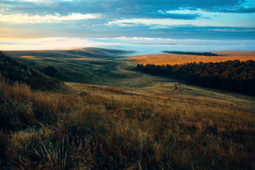 Morning on the hill, cloudy sky