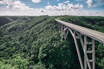 Fototapeta na wymiar large road bridge in the tropics