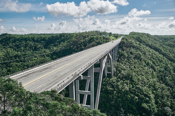 Fototapeta na wymiar large road bridge in the tropics