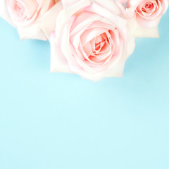 Pale pink roses on a light blue background.