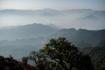 Twilight, sunrise and sea of fog in the morning on the mountains of northern Thailand, during the rainy season.