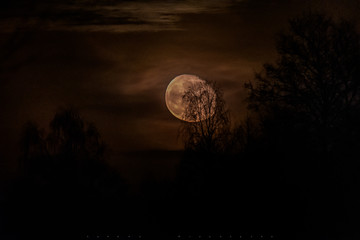 Silent moonrise
