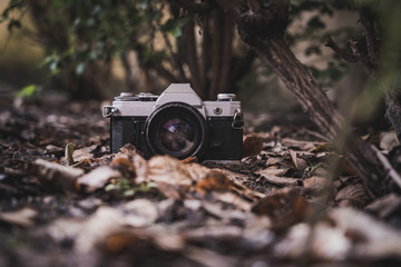 Camara de fotos entre las hojas secas, en el campo
