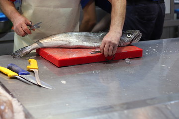 Fish for sale in the Central Market of Valencia, Spain