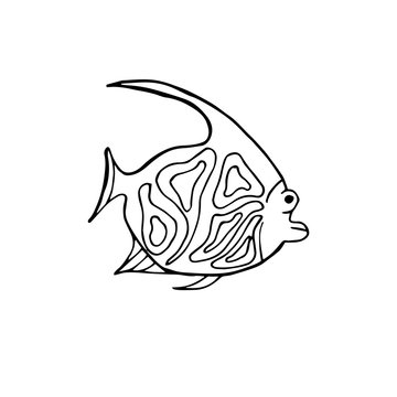 Contour image of fish. Vector fish - coloring. Diverse ocean inhabitants, for children